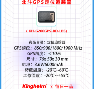 中文