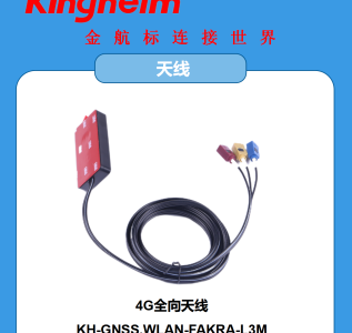 21中文