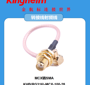 中文11.25