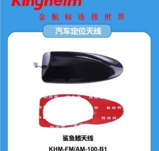 中文12.3