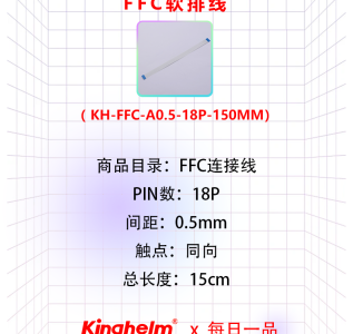 中文20241225